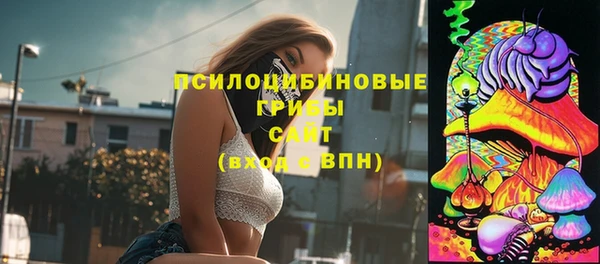 круглые Шарыпово