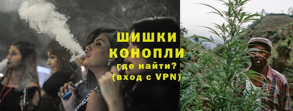мдпв Богородск
