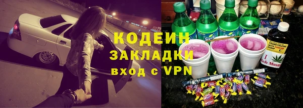 шишки Шали