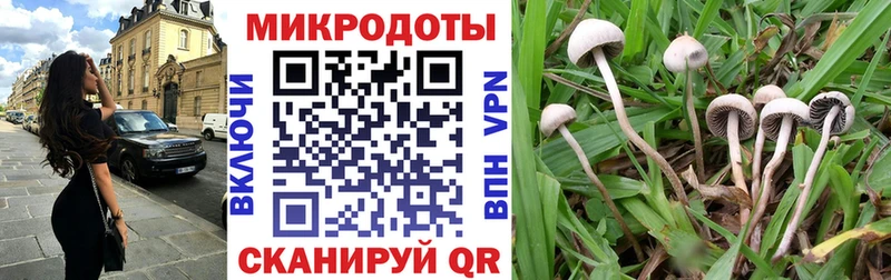 kraken как войти  Верхоянск  Псилоцибиновые грибы ЛСД 